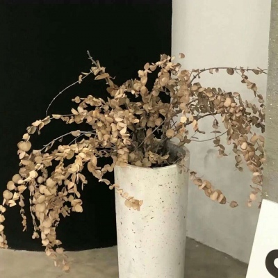 瑞金FurryQQ群介绍